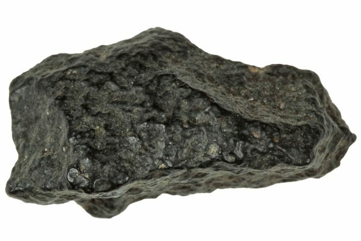 Abadla CM Chondrite Meteorite ( g) - Algeria #313054